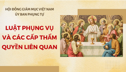 LUẬT PHỤNG VỤ VÀ CÁC CẤP THẨM QUYỀN